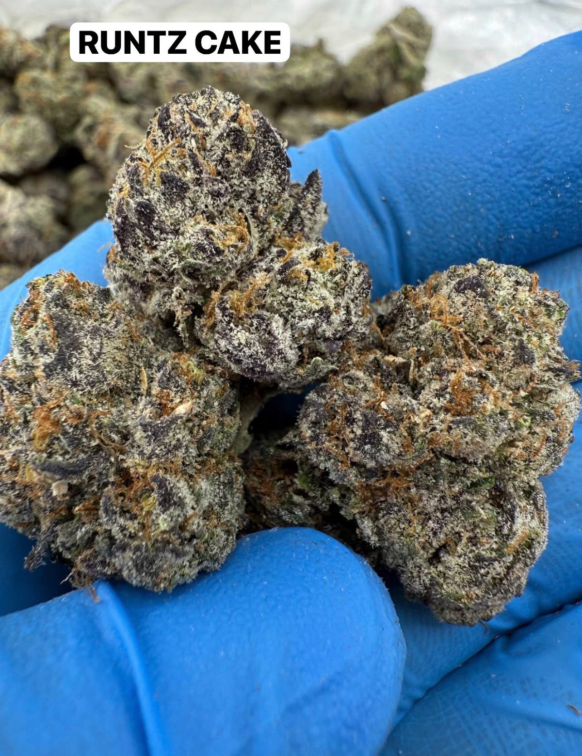 FRESH Wholesale FLAVORS!