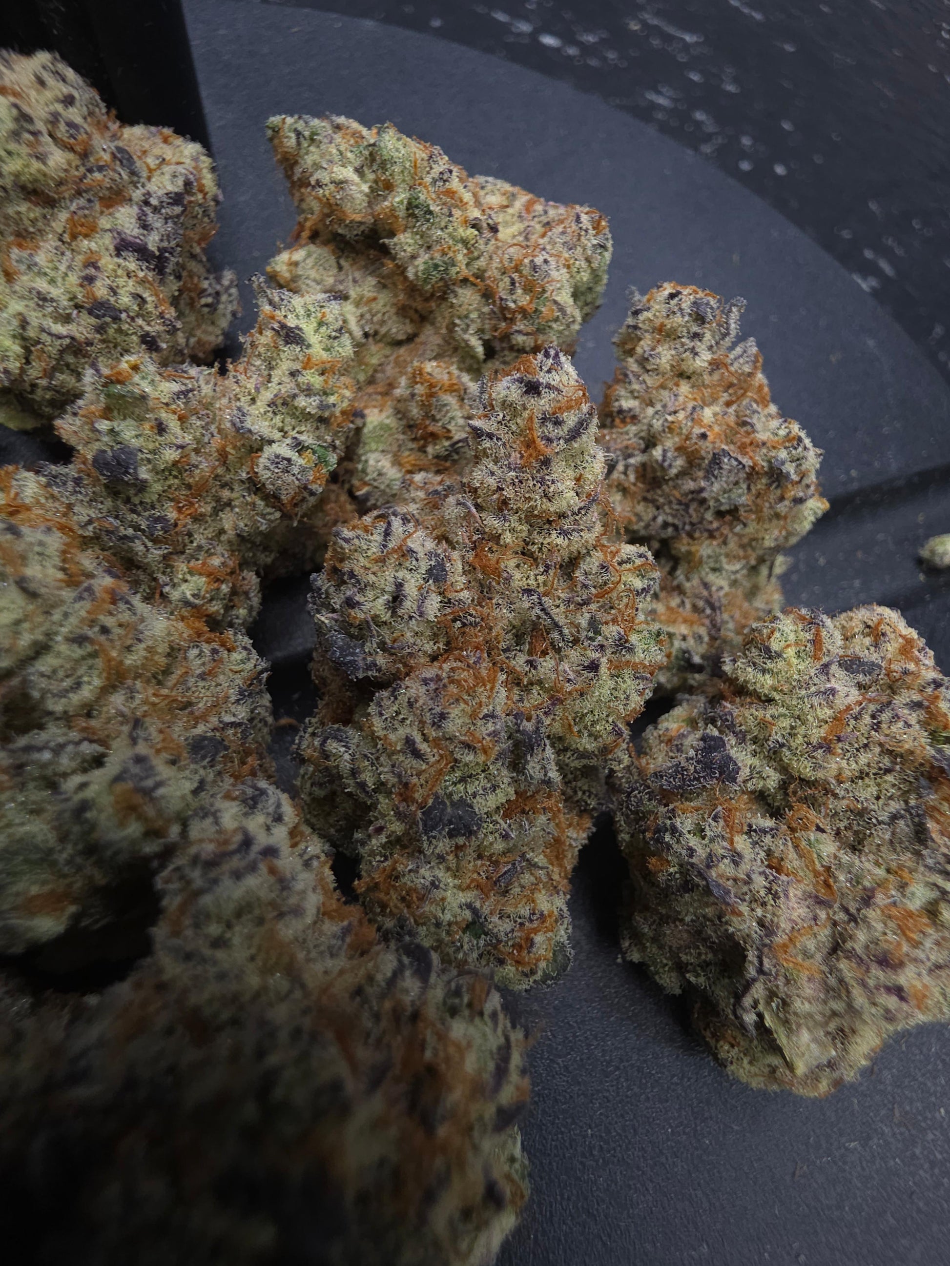 Frosted Gas Berriez SPX Exotic