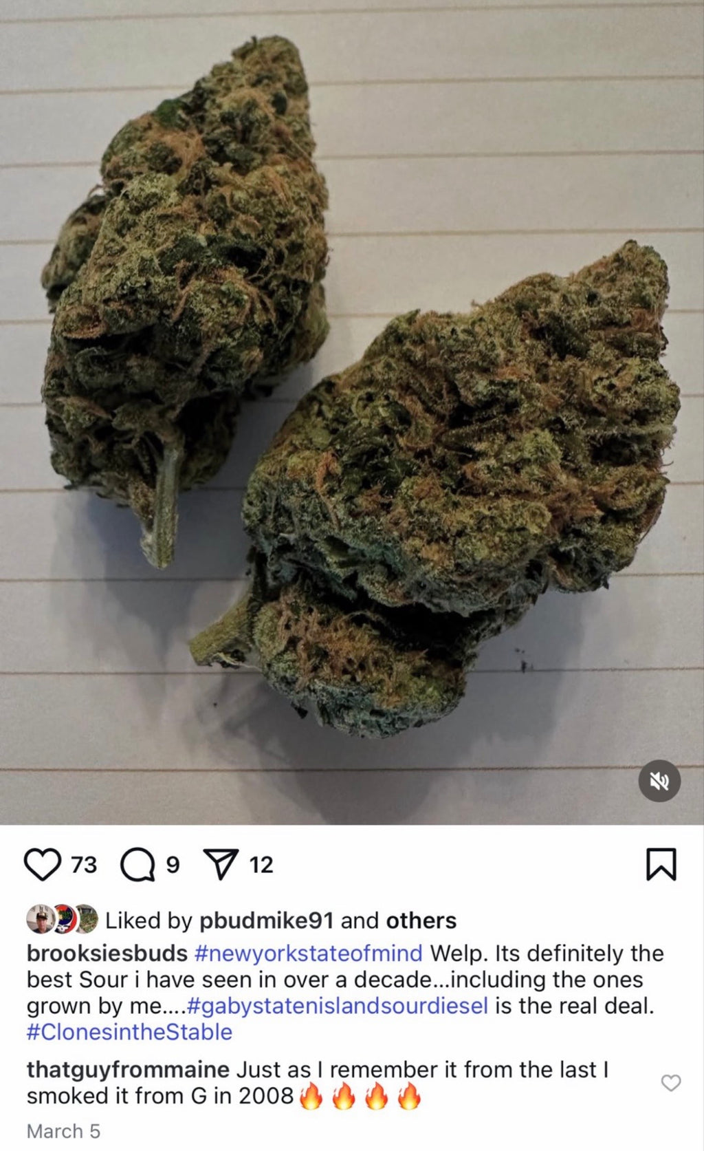 ⛽️🦨GabySourD🦨⛽️.   (CANT BE DISCOUNTED)