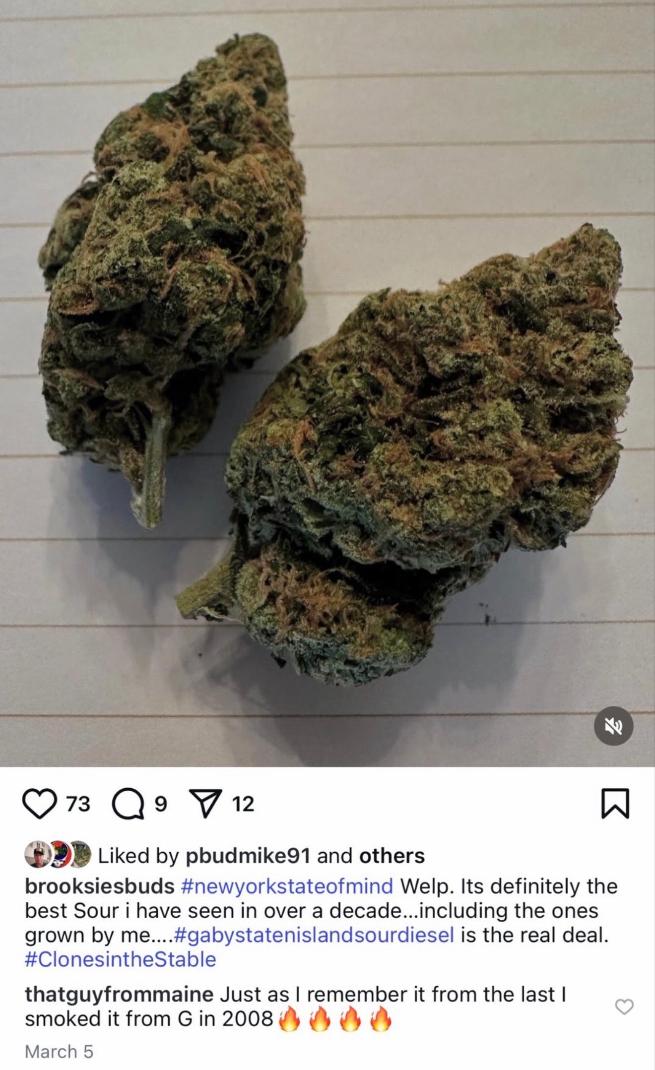 ⛽️🦨GabySourD🦨⛽️.   (CANT BE DISCOUNTED)