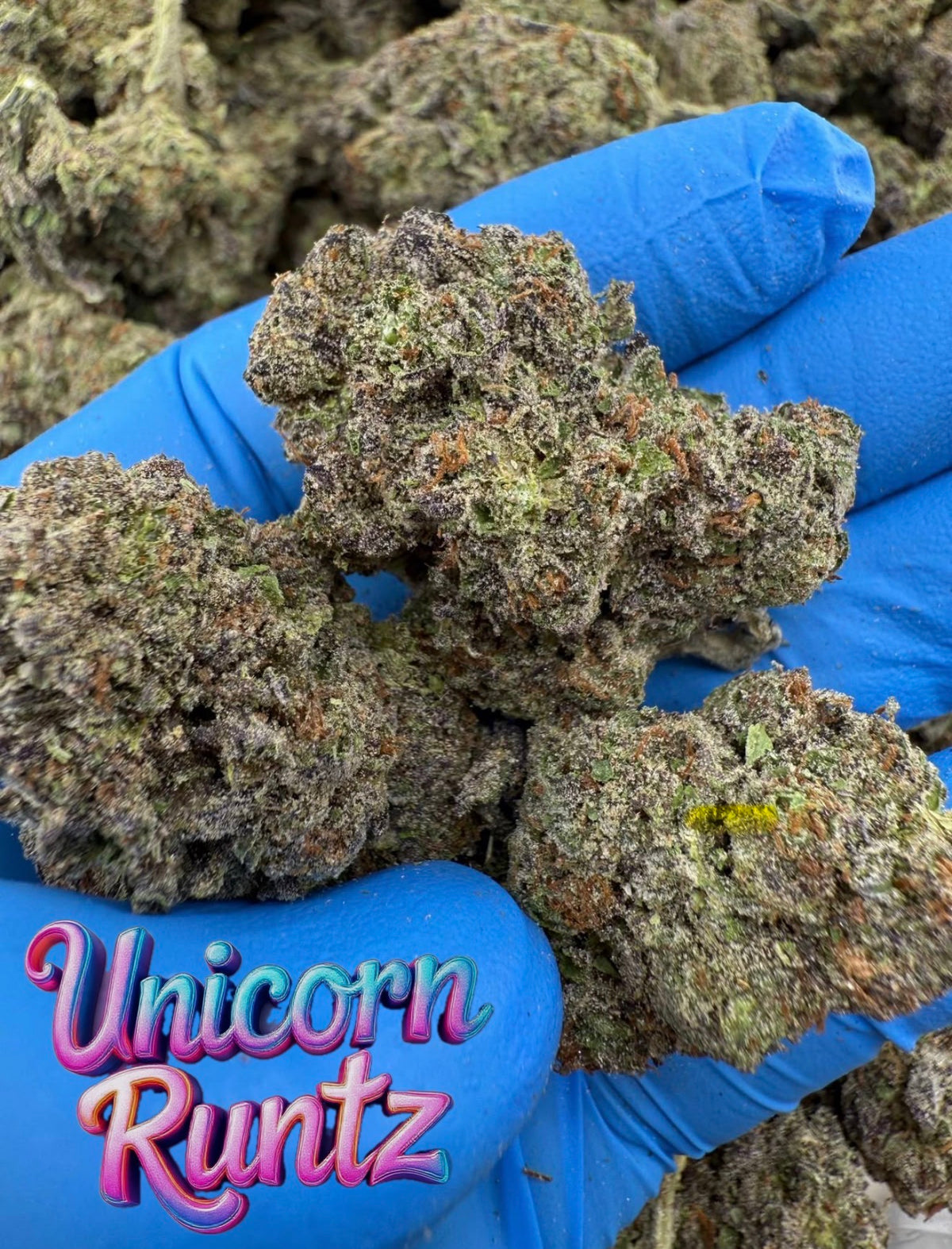 FRESH Wholesale FLAVORS!