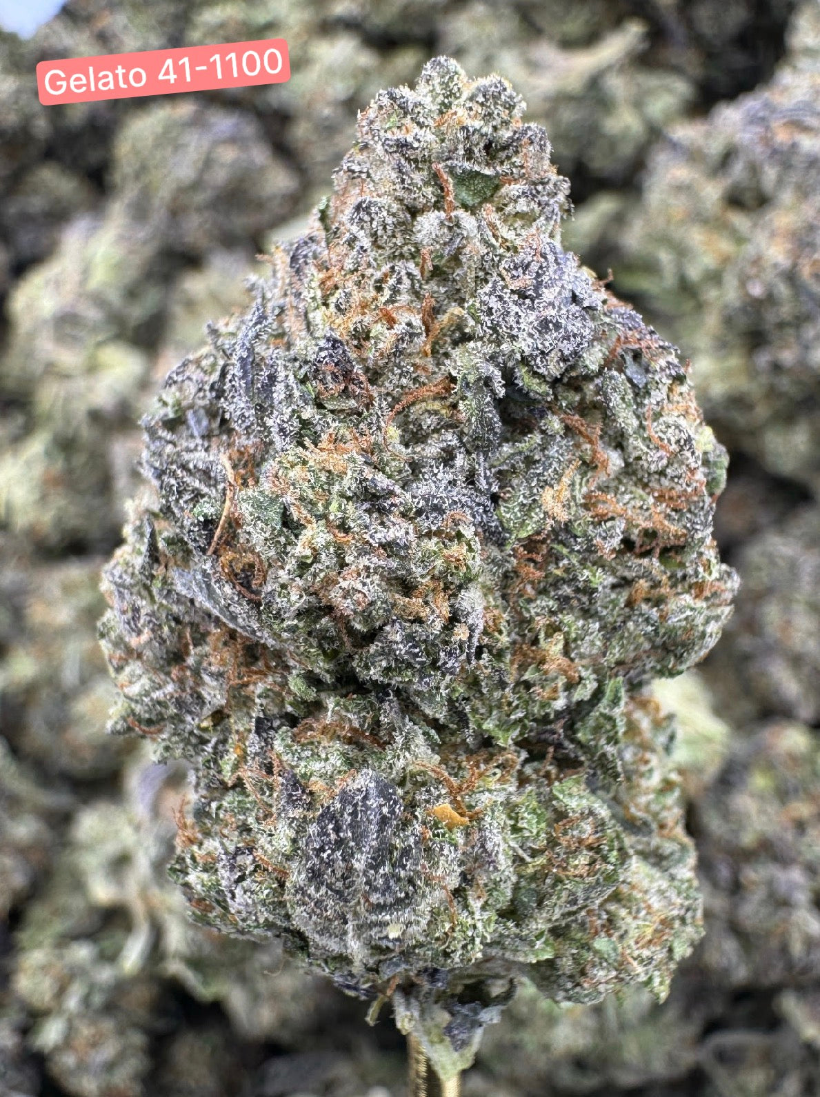 FRESH Wholesale FLAVORS!
