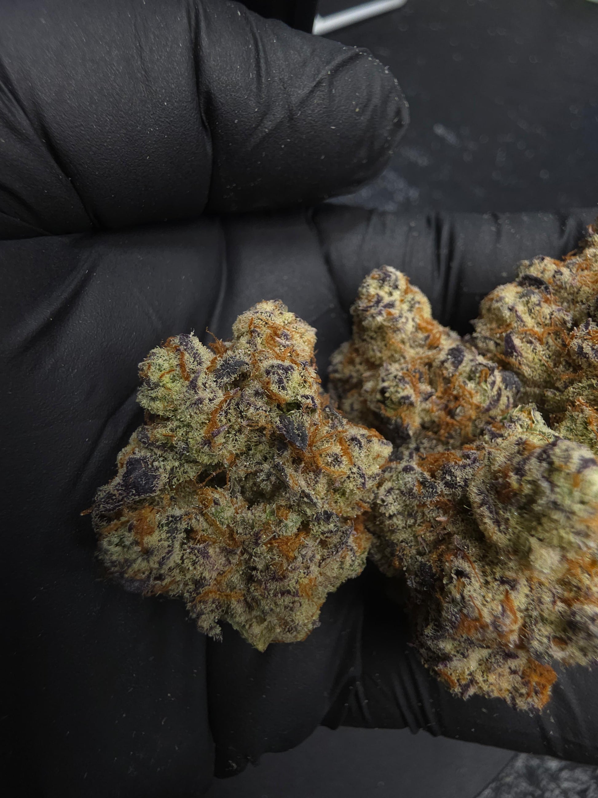 Frosted Gas Berriez SPX Exotic