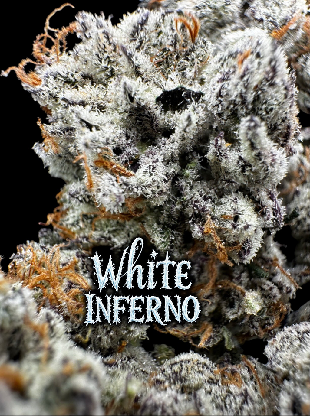 White Inferno