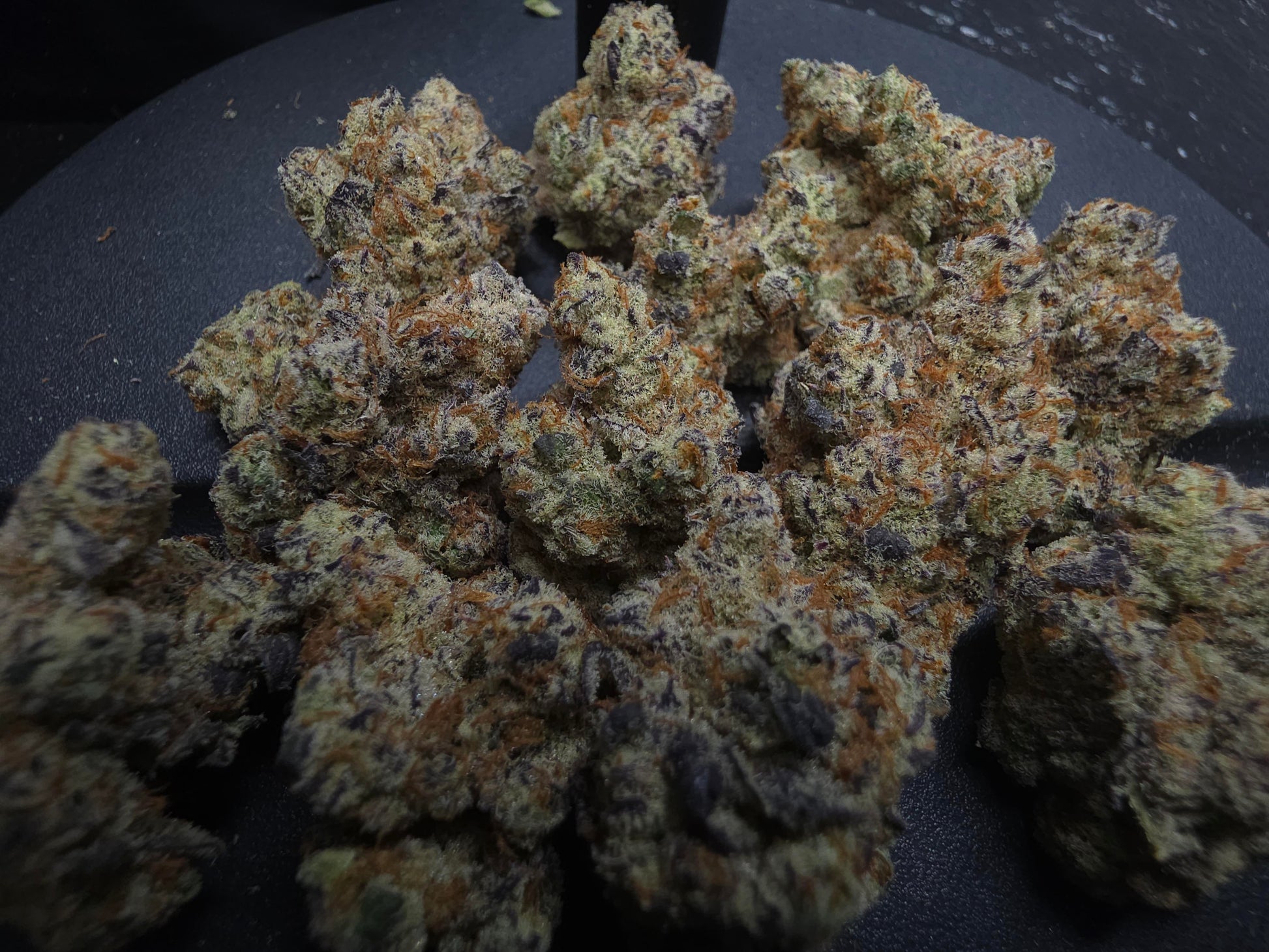 Frosted Gas Berriez SPX Exotic