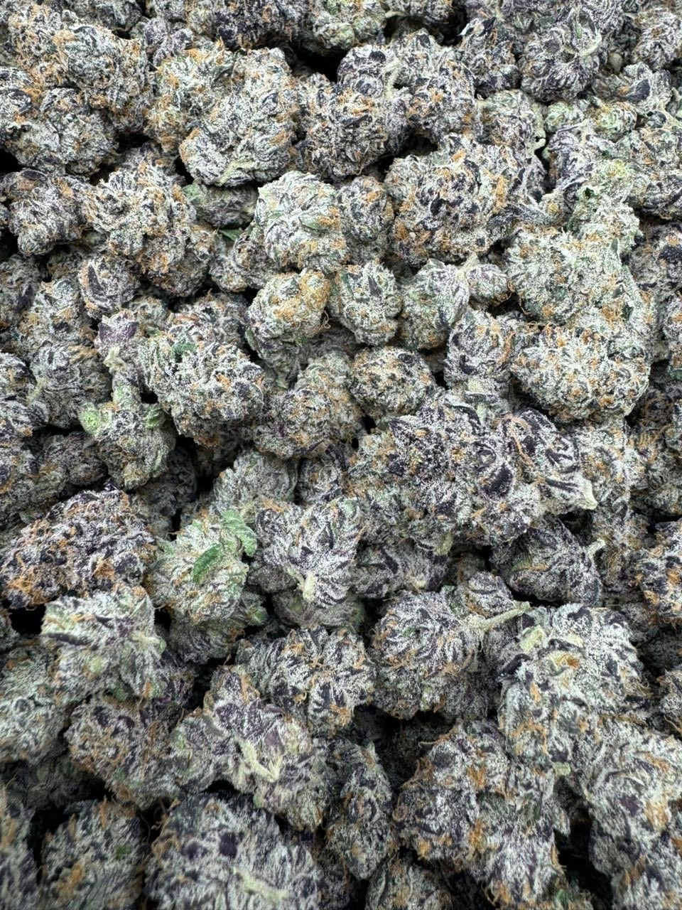 Indoor Smallz