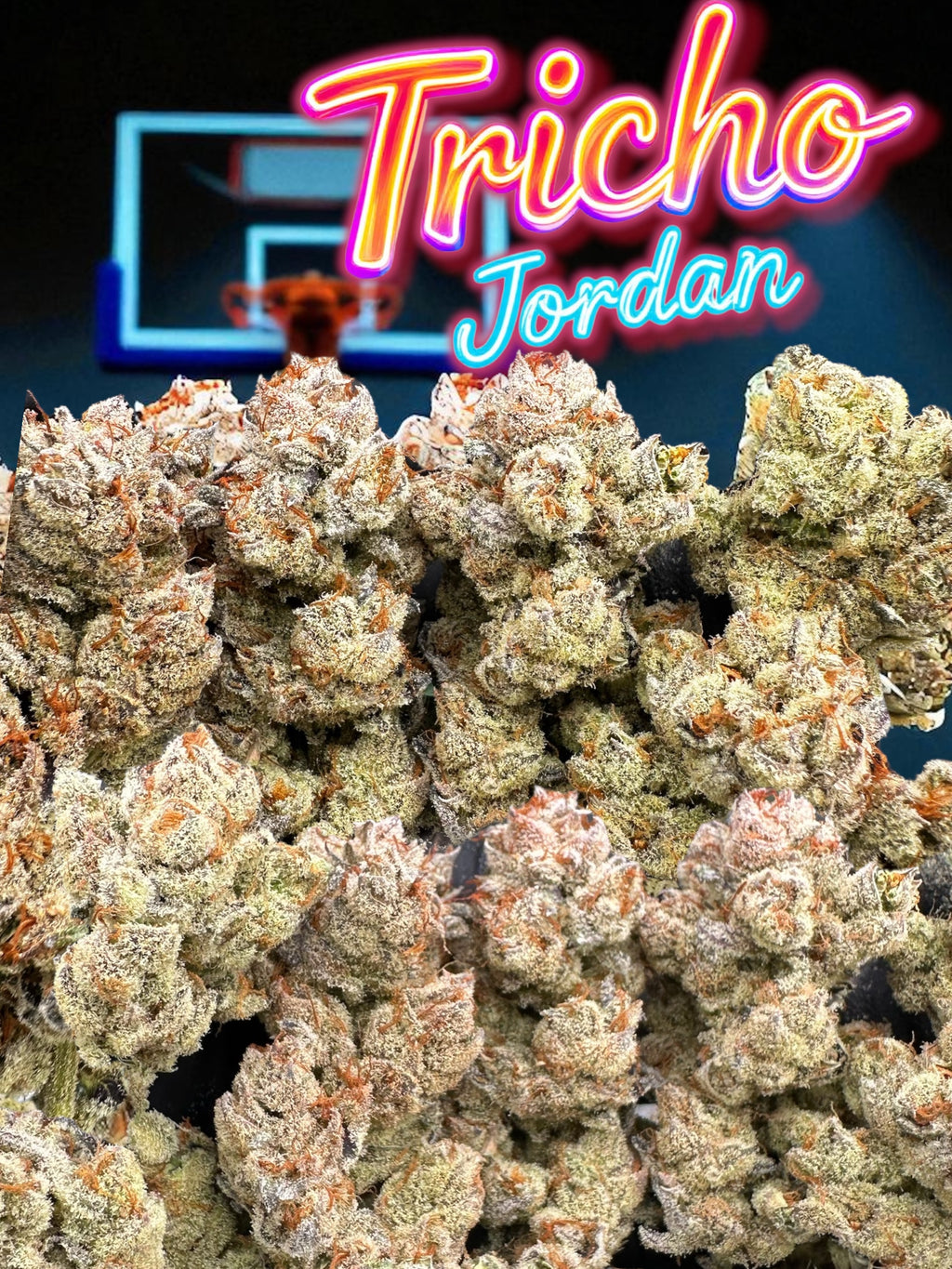 ⛹🏽‍♂️TRiCHO JORDAN🏀