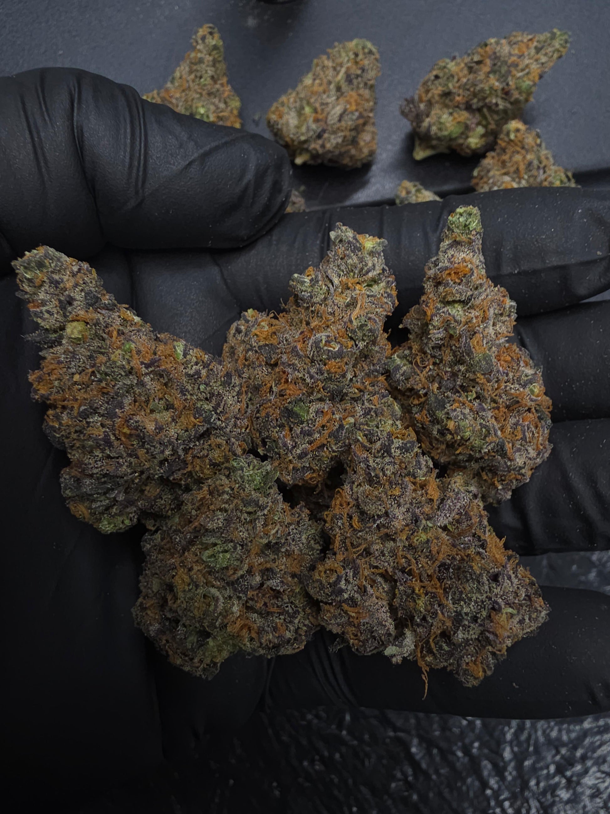 💥UB40💥 SpxExotics