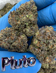 FRESH Wholesale FLAVORS!