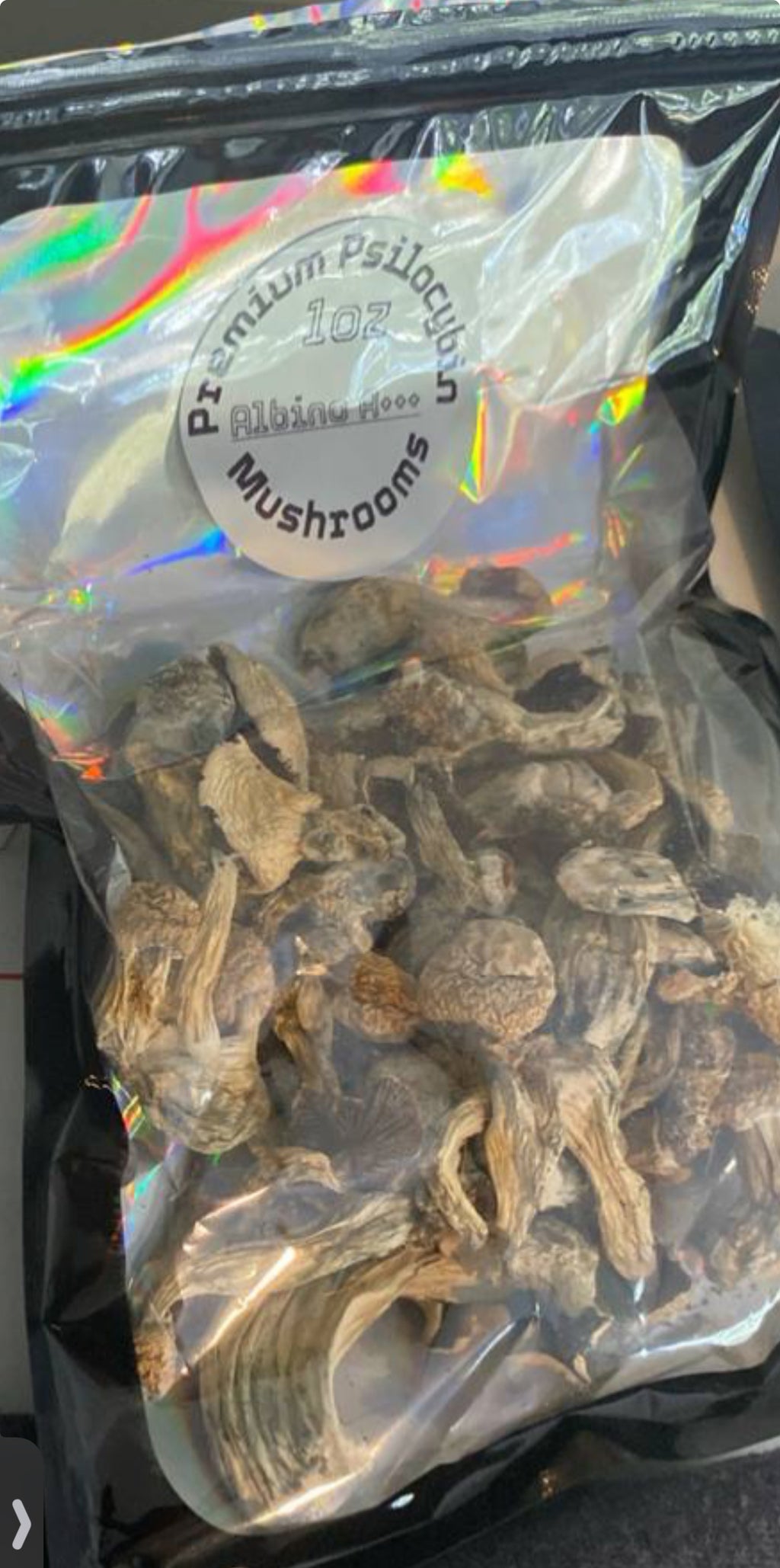 🍄Magical Mushies🍄