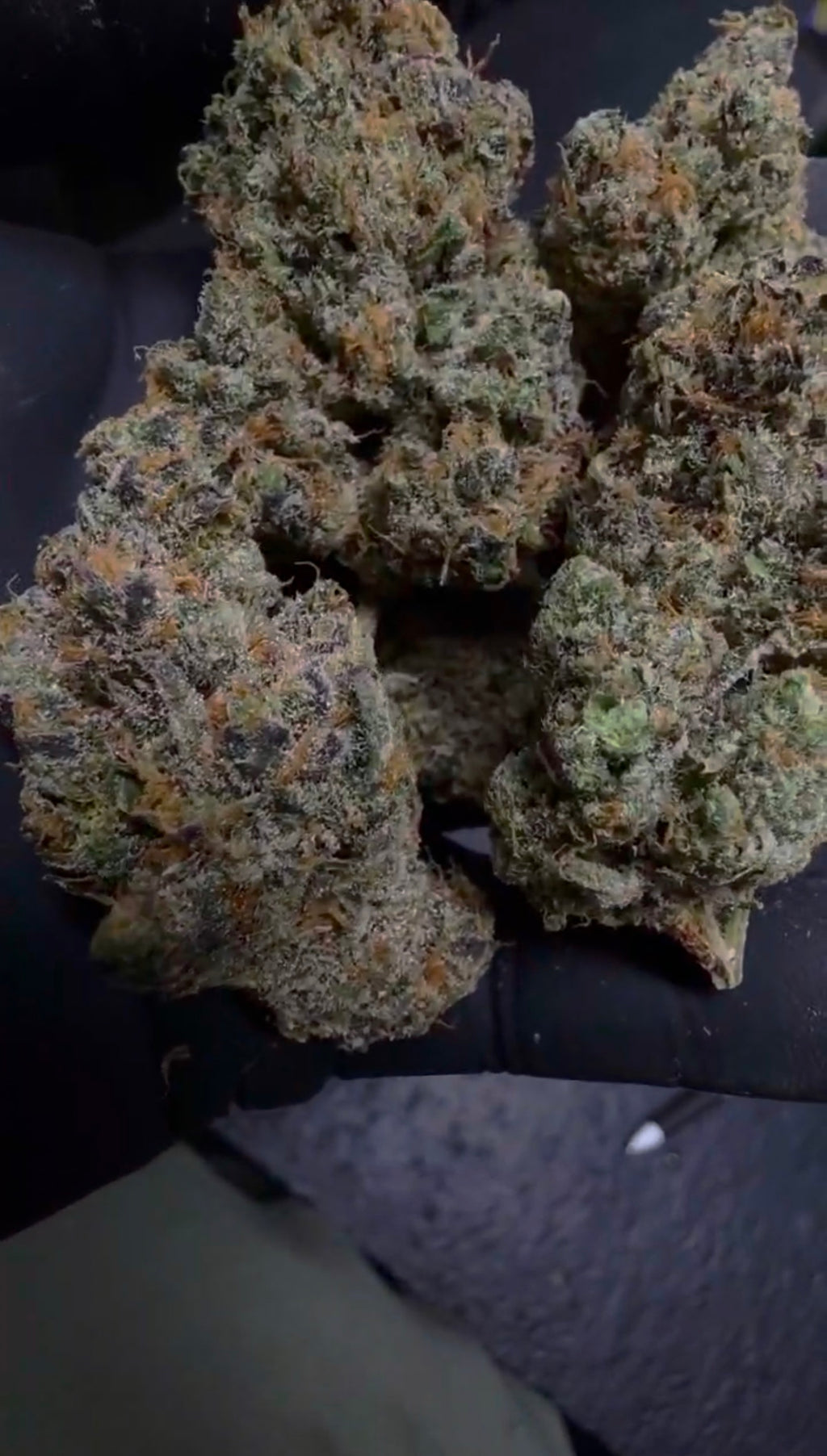 Sour Sunset 96 SPX EXOTIC