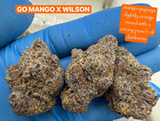 FRESH Wholesale FLAVORS!