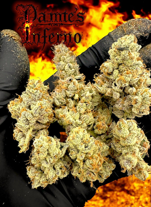 Black Friday In-house Flower Special! 1 Ounce!