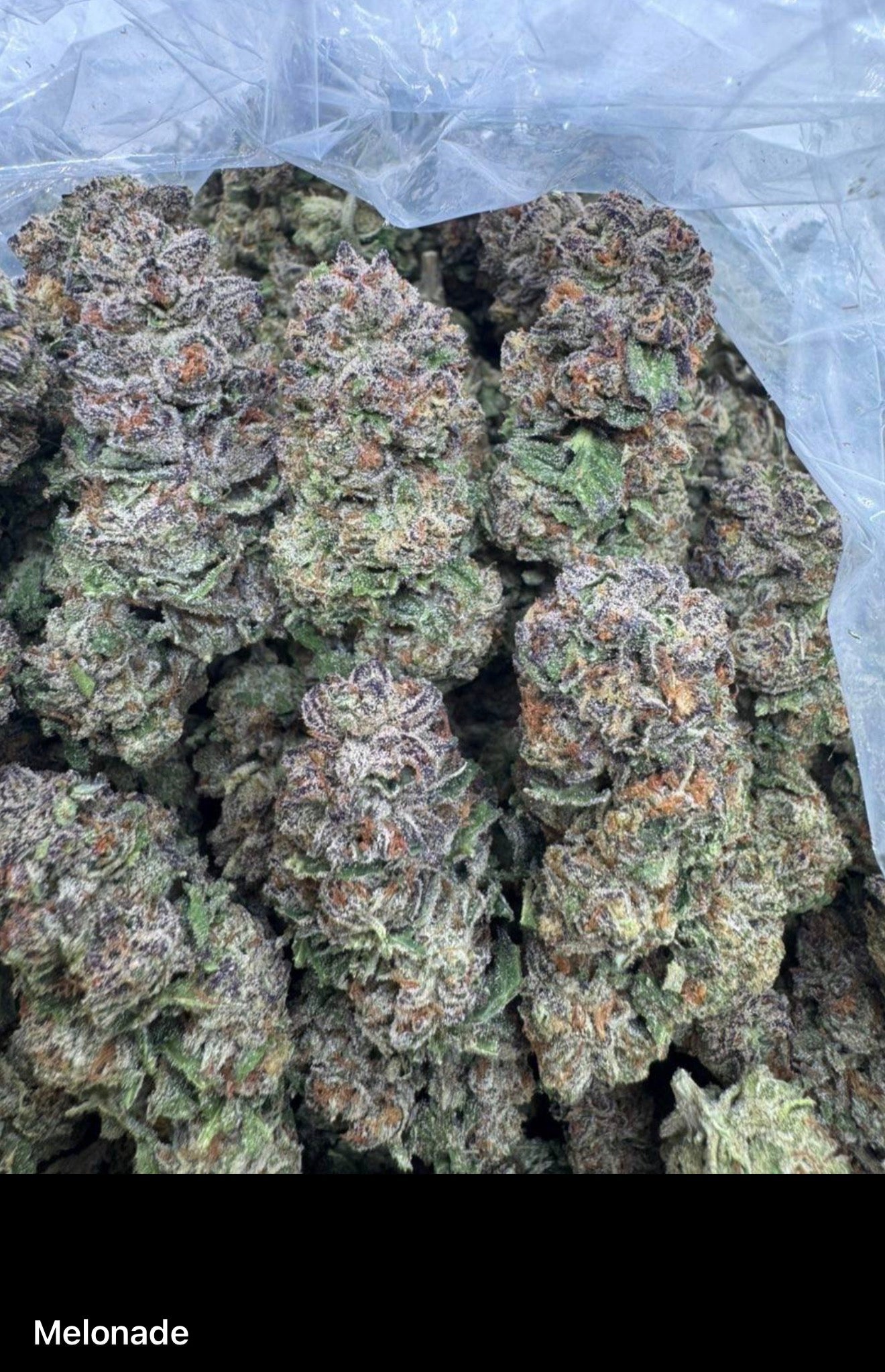 FRESH Wholesale FLAVORS!