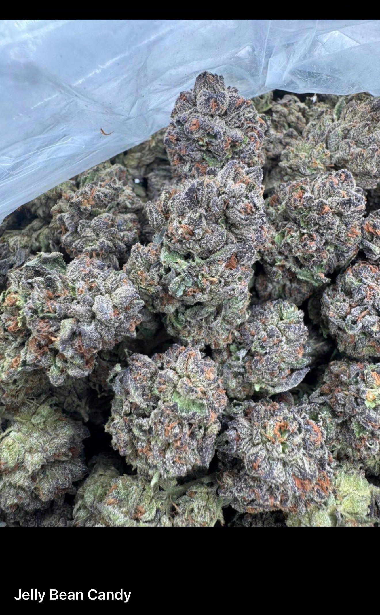 FRESH Wholesale FLAVORS!