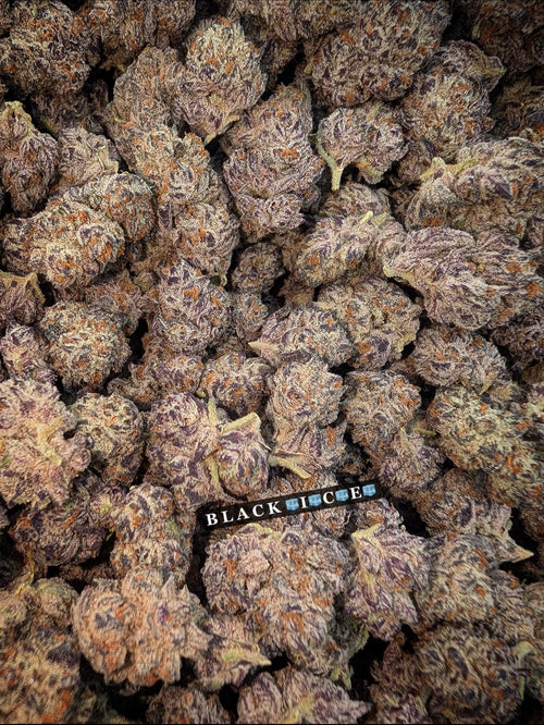 Black Ice