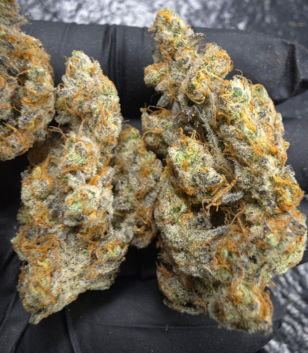 Exclusive Top Tier ( FROZEN GARY)SPXExotic