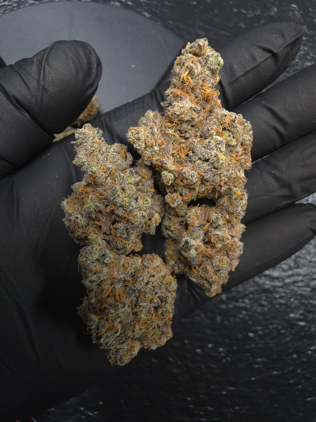 Exclusive Top Tier ( FROZEN GARY)SPXExotic