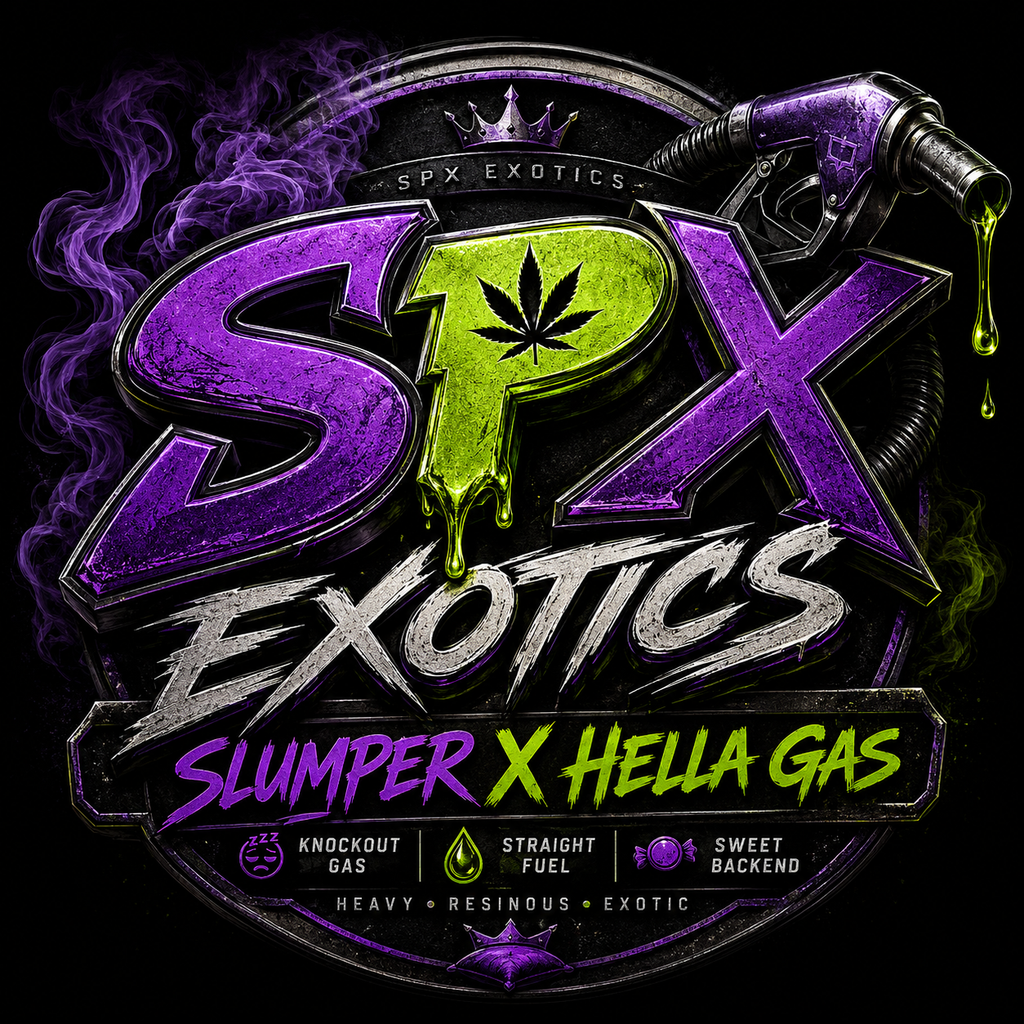 SLUMPER X HELLA