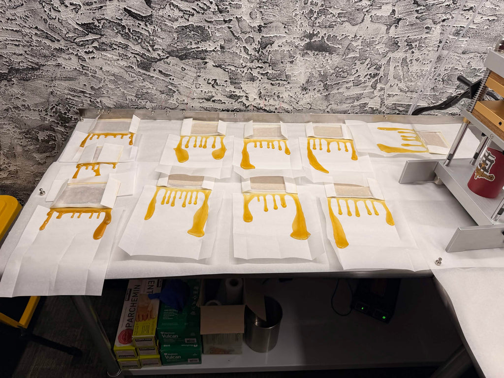 (BG) Cold Cured LIVING SOIL Rosin