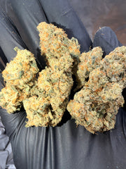 FROG P X GC(THE REAPER)