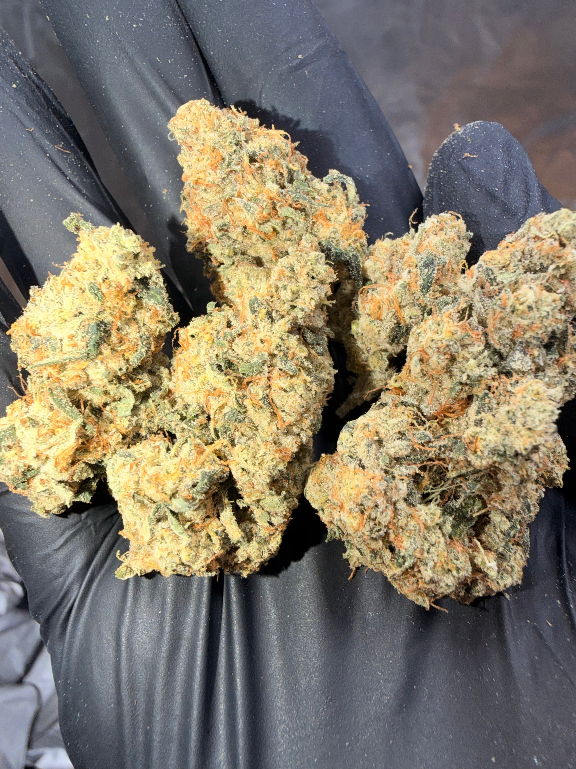 FROG P X GC(THE REAPER)