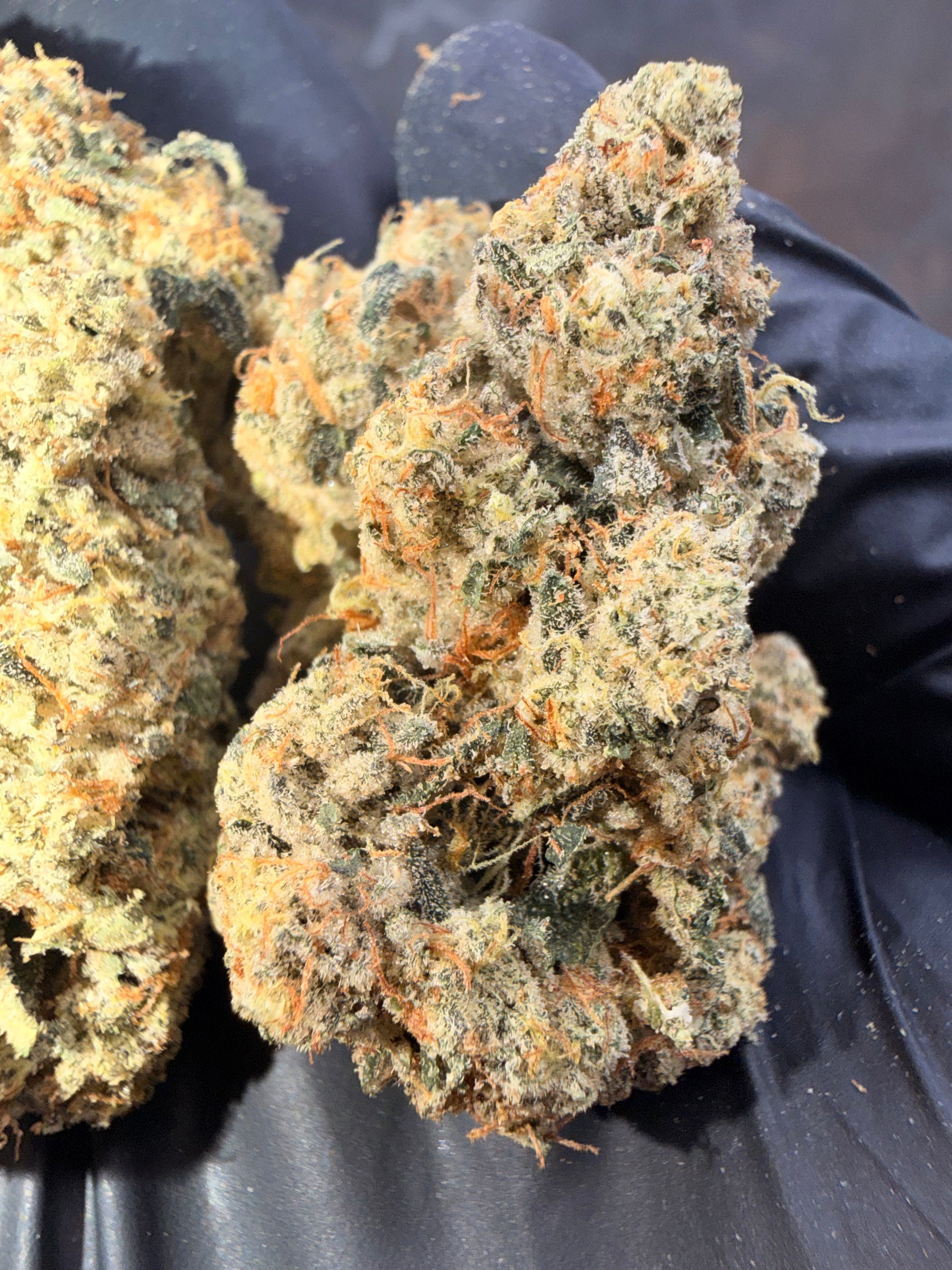 FROG P X GC(THE REAPER)