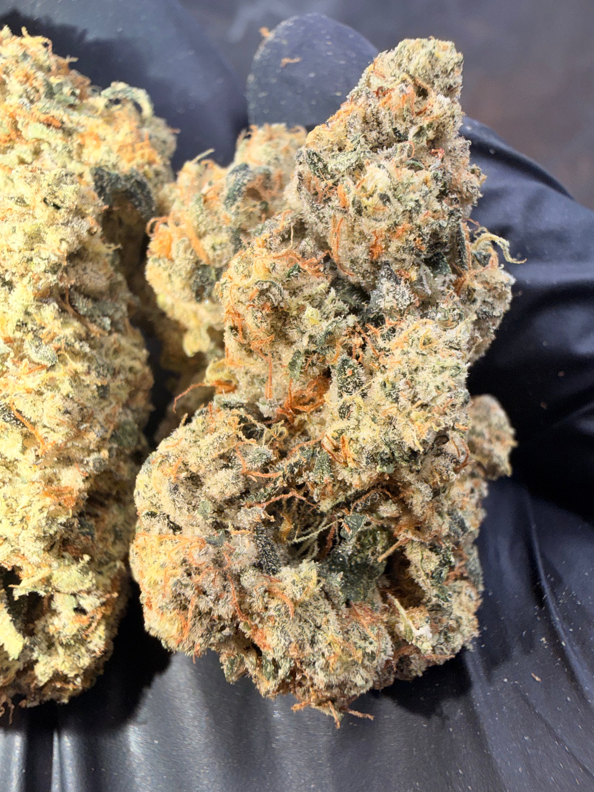 FROG P X GC(THE REAPER)