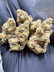 FROG P X GC(THE REAPER)