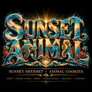 SUNSET ANIMAL