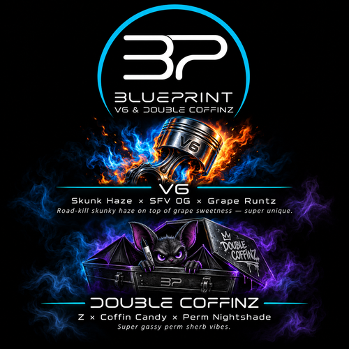 BLUEPRINT LIMITED DEAL-(QP)