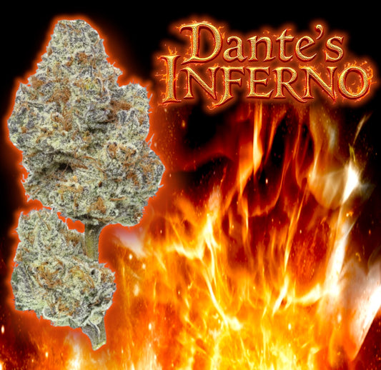 Dante’s Inferno