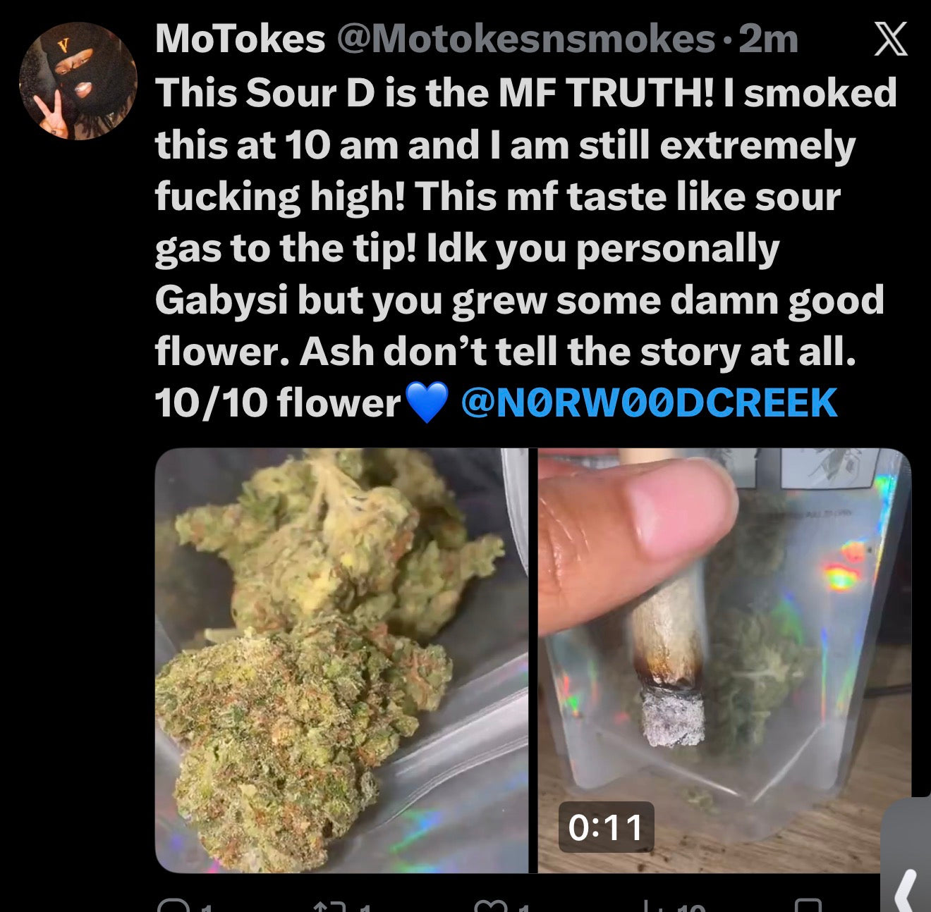 ⛽️🦨GabySourD🦨⛽️.   (CANT BE DISCOUNTED)