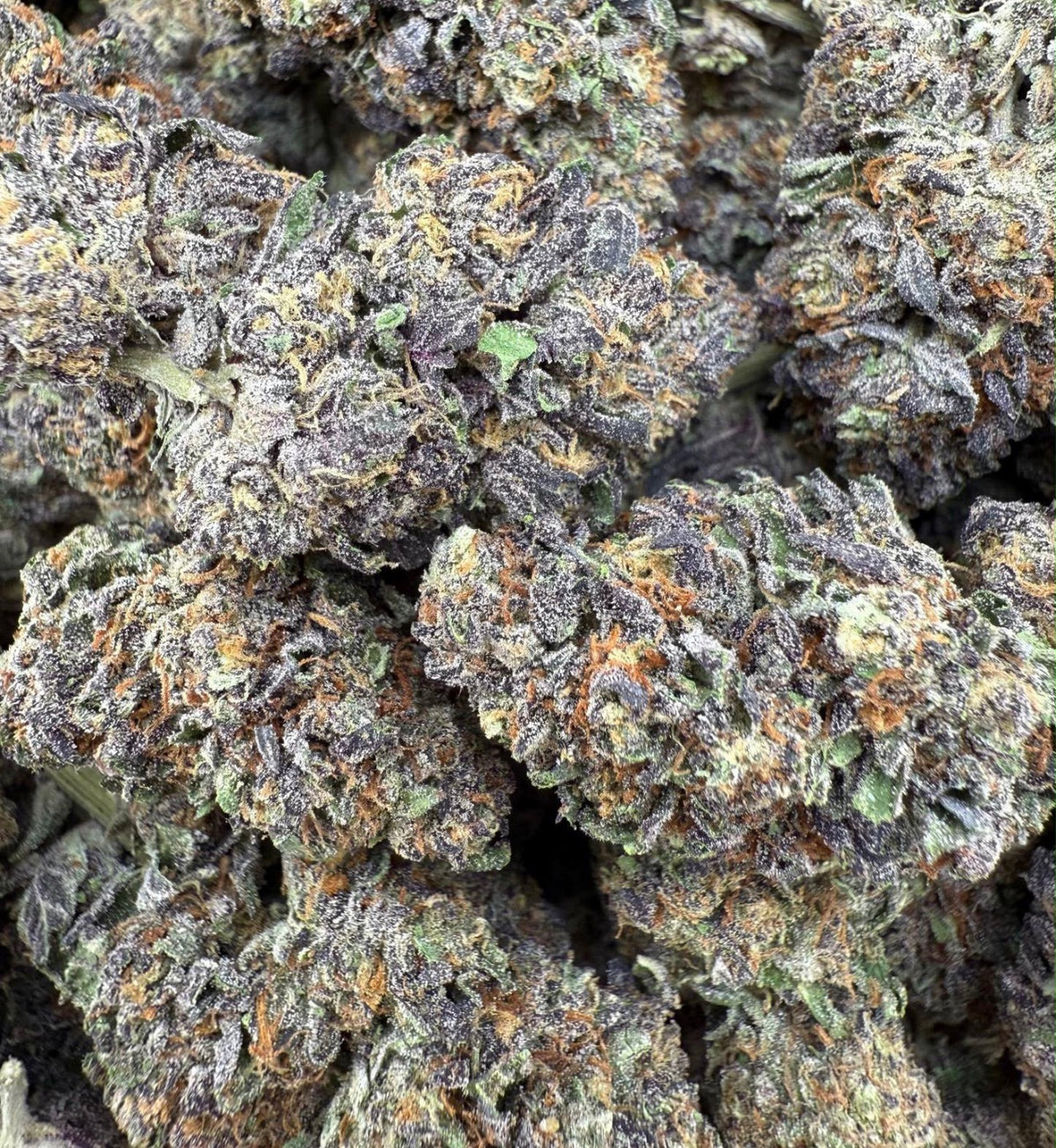 Slurty #3