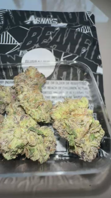 Always Brand(BEANFIENDZ GENETICS)