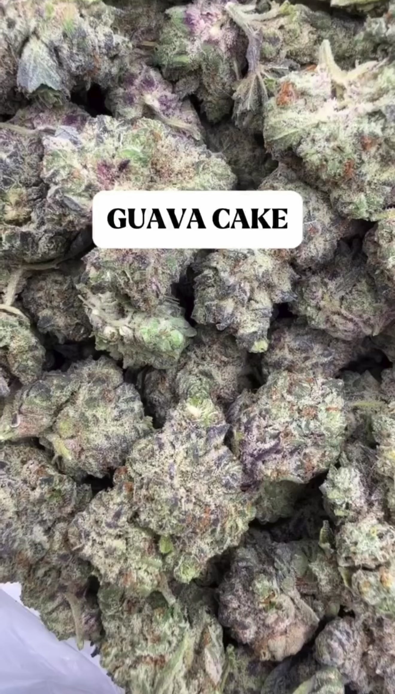 FRESH Wholesale FLAVORS!