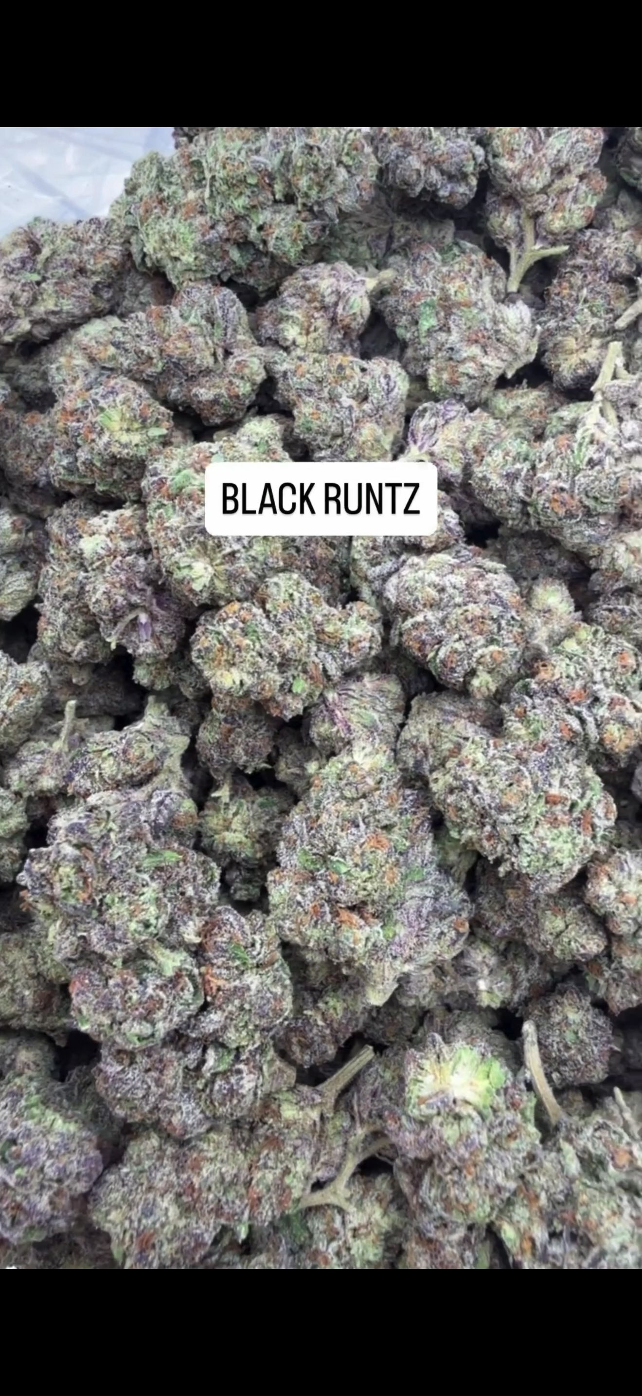 Black Runtz