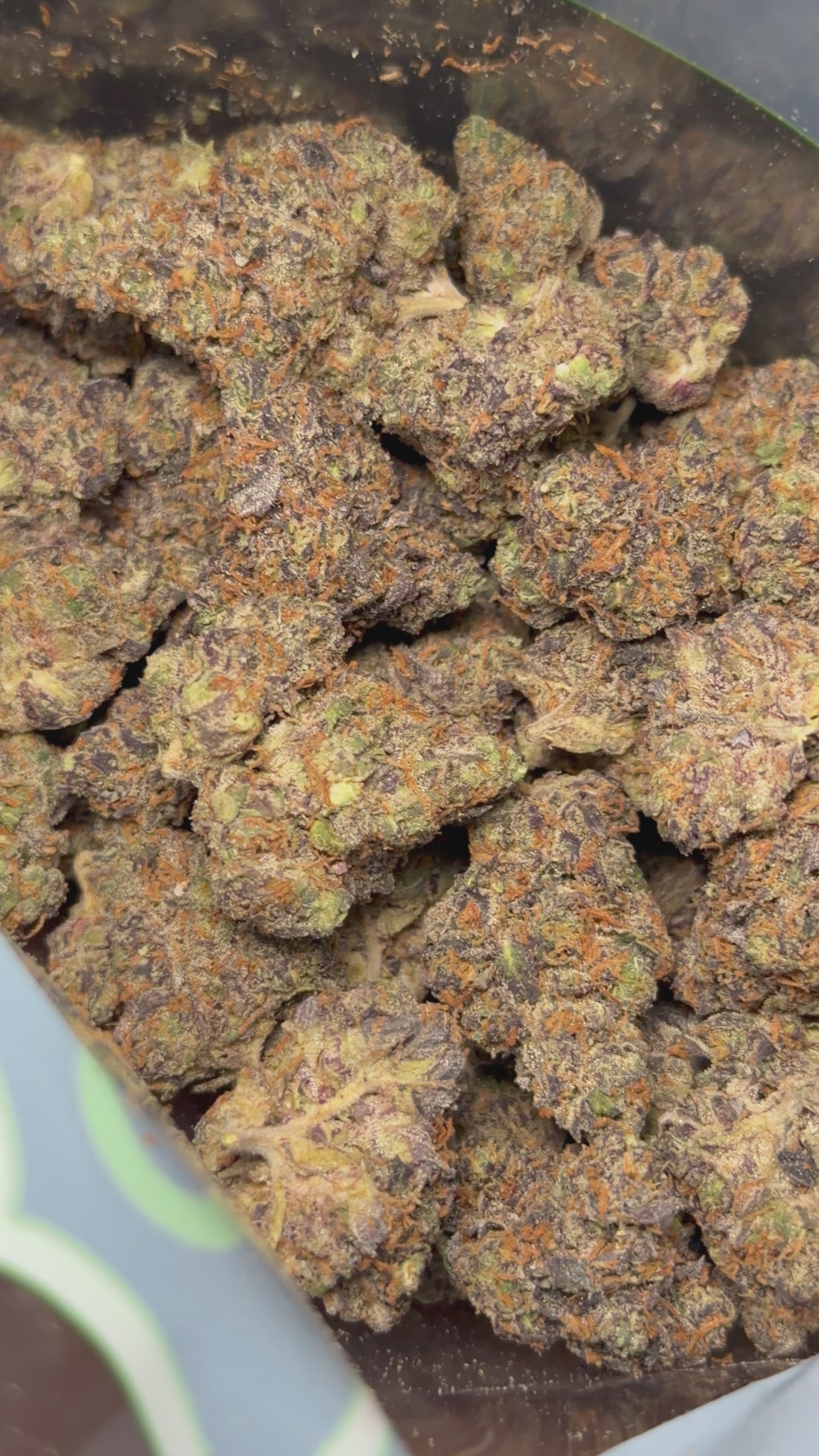 💥UB40💥 SpxExotics