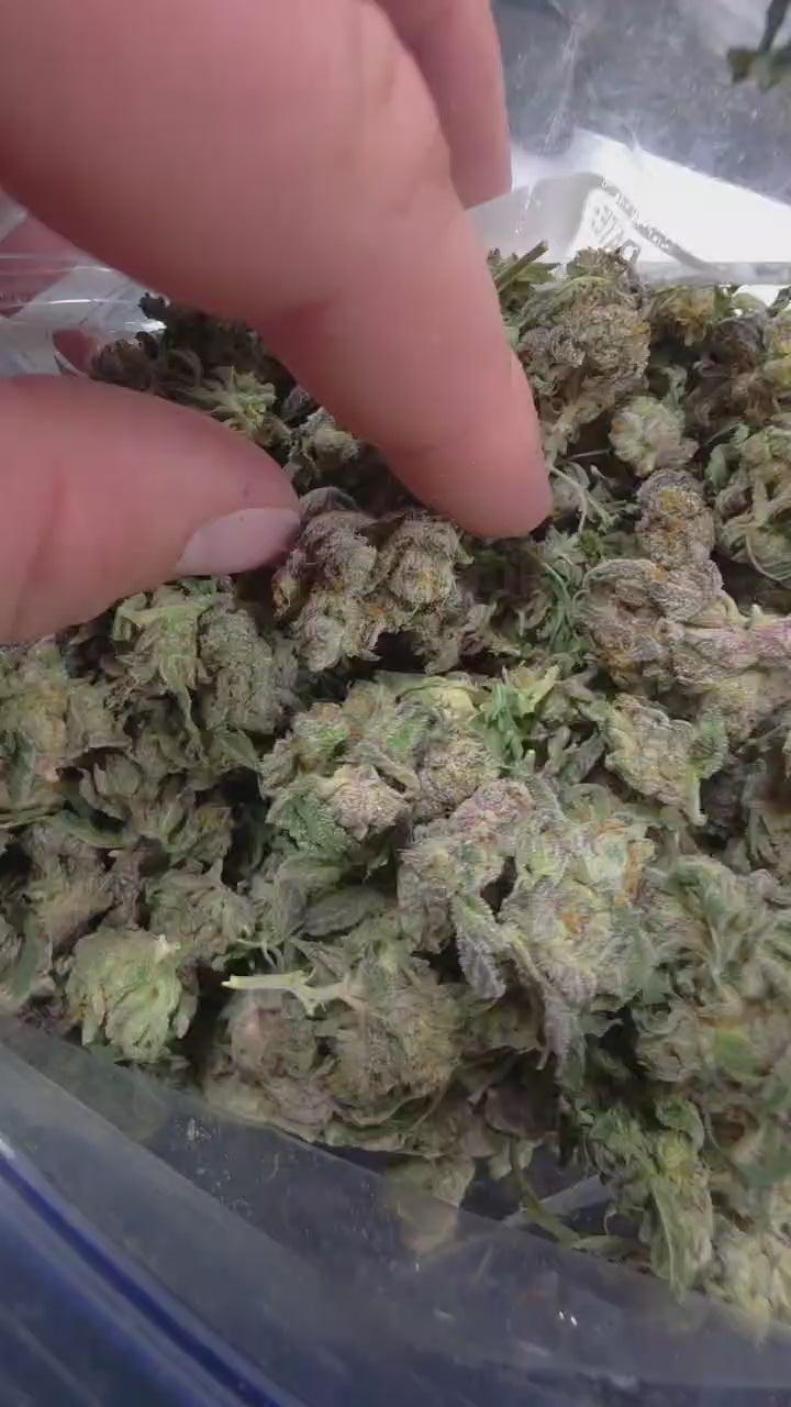 Exotic Smallz