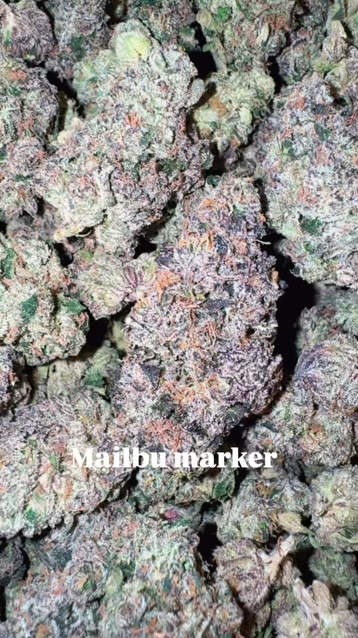 Malibu Marker( in-house)