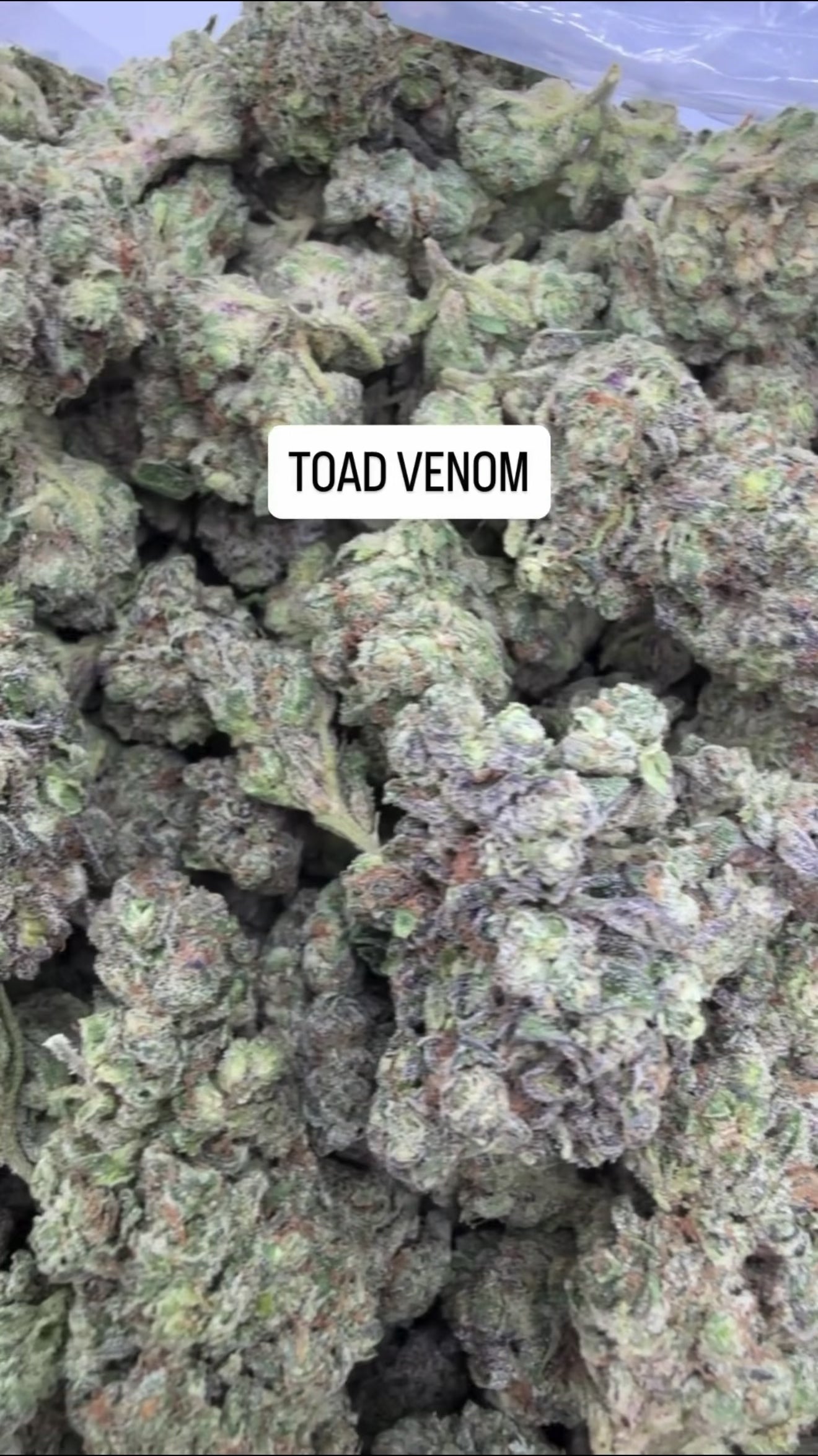 FRESH Wholesale FLAVORS!