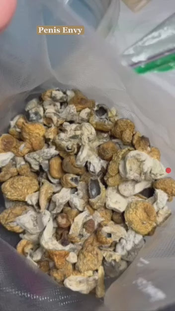 🍄Magical Mushies🍄