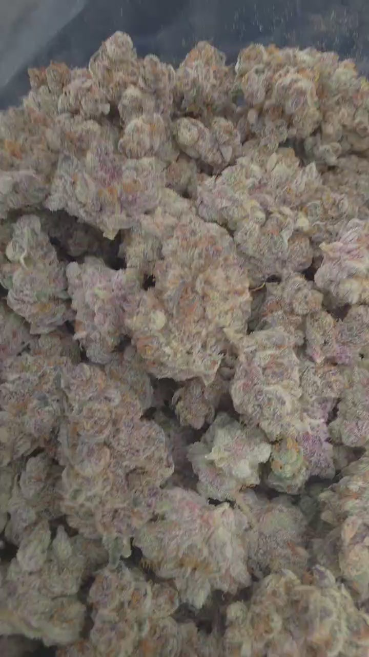 Trich Beast