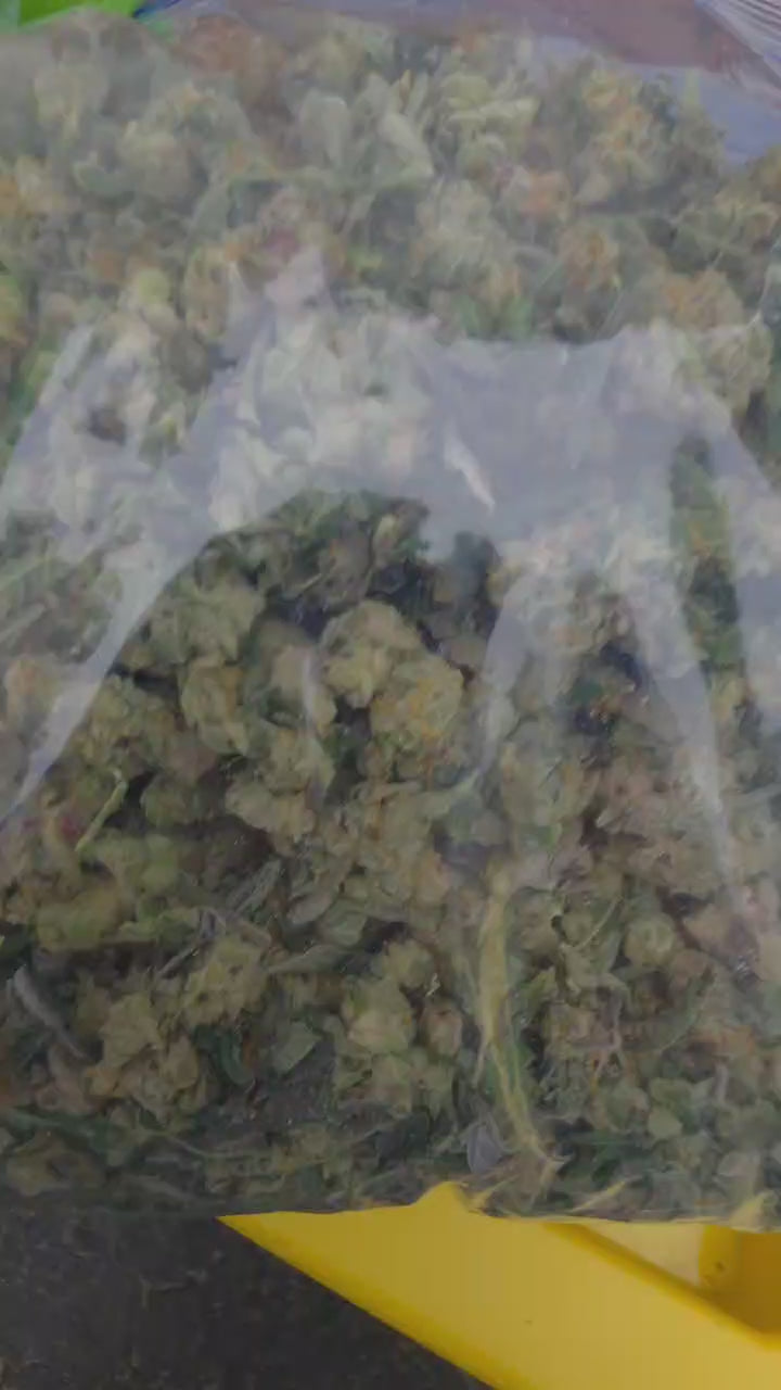 Mixed Strain Exotic Pounds