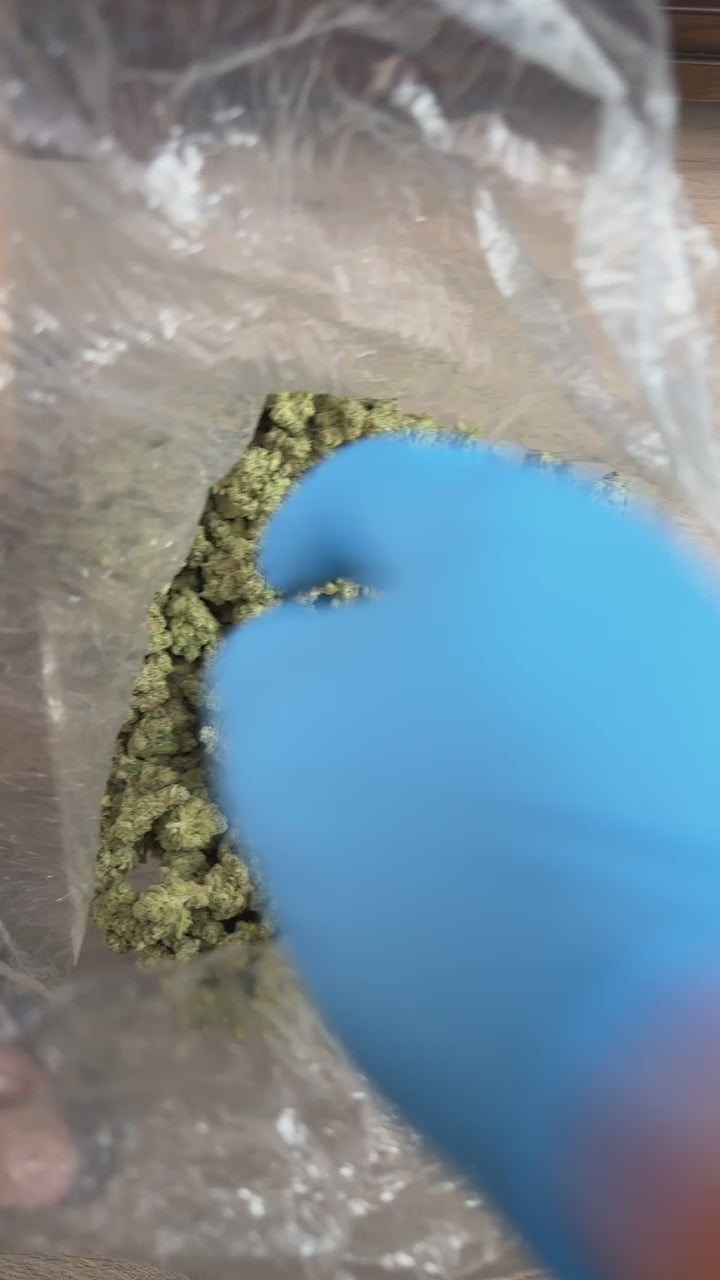 ⛽️🦨GabySourD🦨⛽️.   (CANT BE DISCOUNTED)