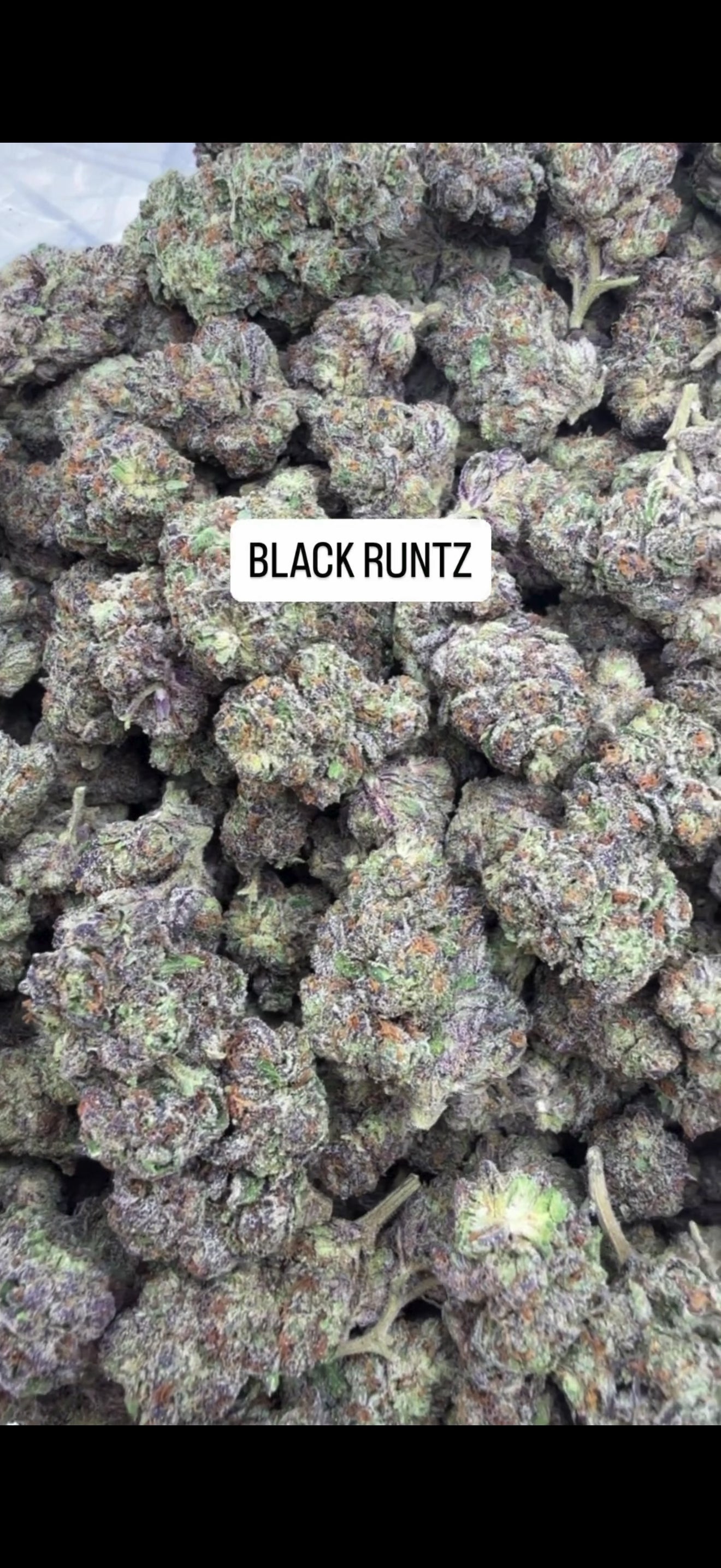 FRESH Wholesale FLAVORS!
