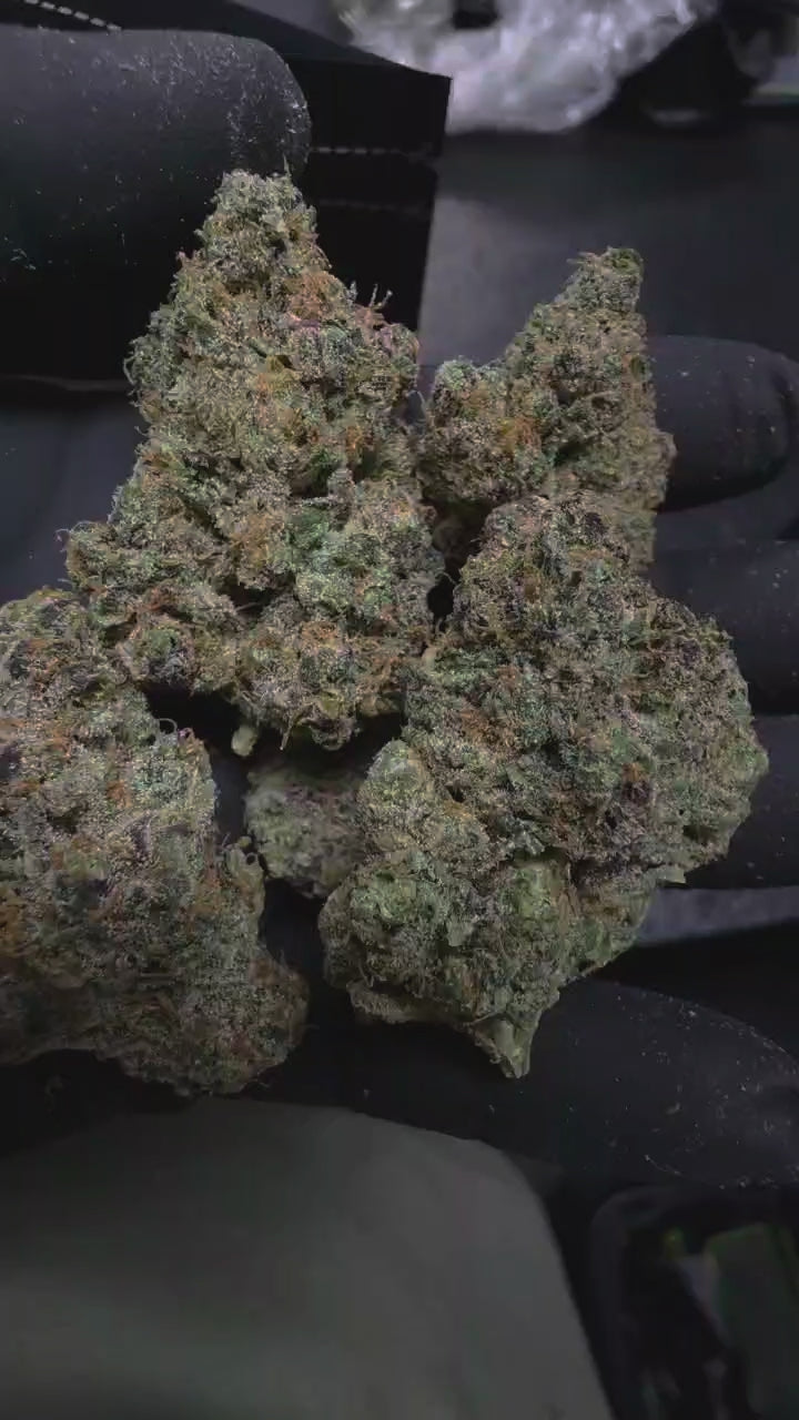 Sour Sunset 96 SPX EXOTIC