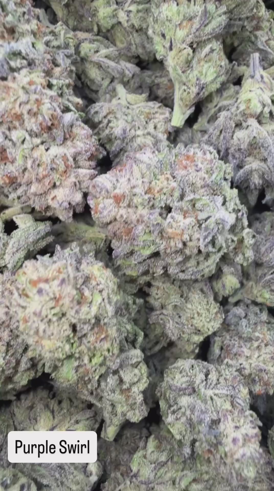 💜Purple Swirl💜