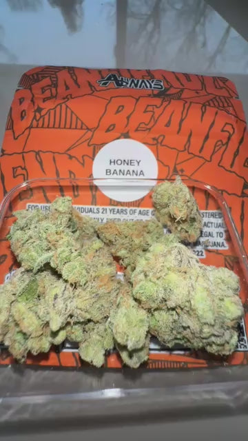 Always Brand(BEANFIENDZ GENETICS)