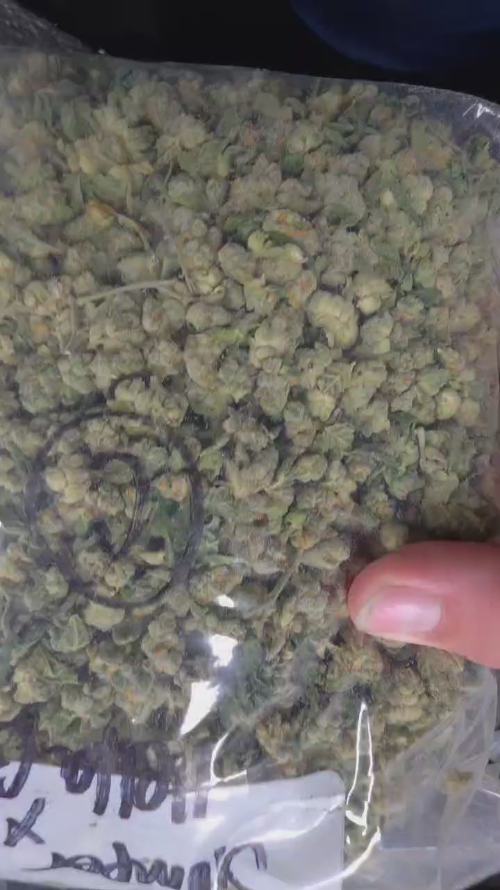 Exotic Smallz